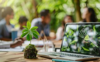 Consultoria ambiental: por que sua empresa precisa disso agora?