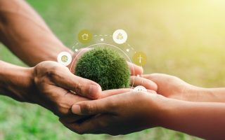 Certificado ambiental: por que sua empresa precisa agora?