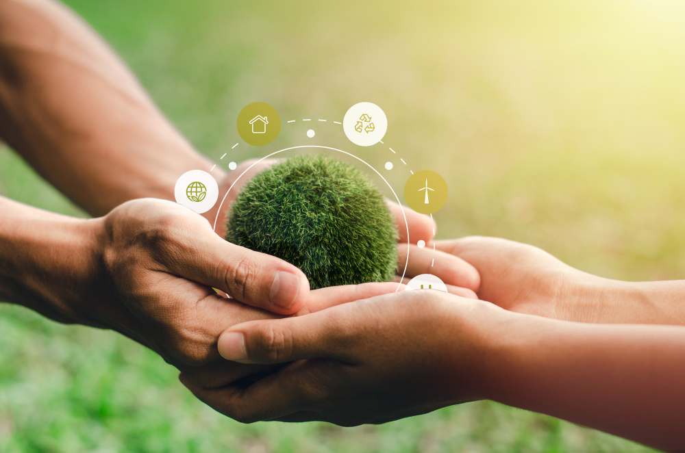 Certificado ambiental: por que sua empresa precisa agora?