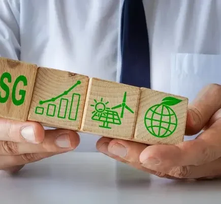 Consultoria ESG para empresas: Como e por que contratar 