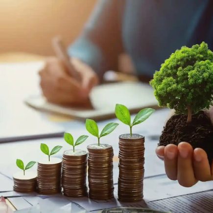 Assessoria ambiental: o que está incluso e onde contratar