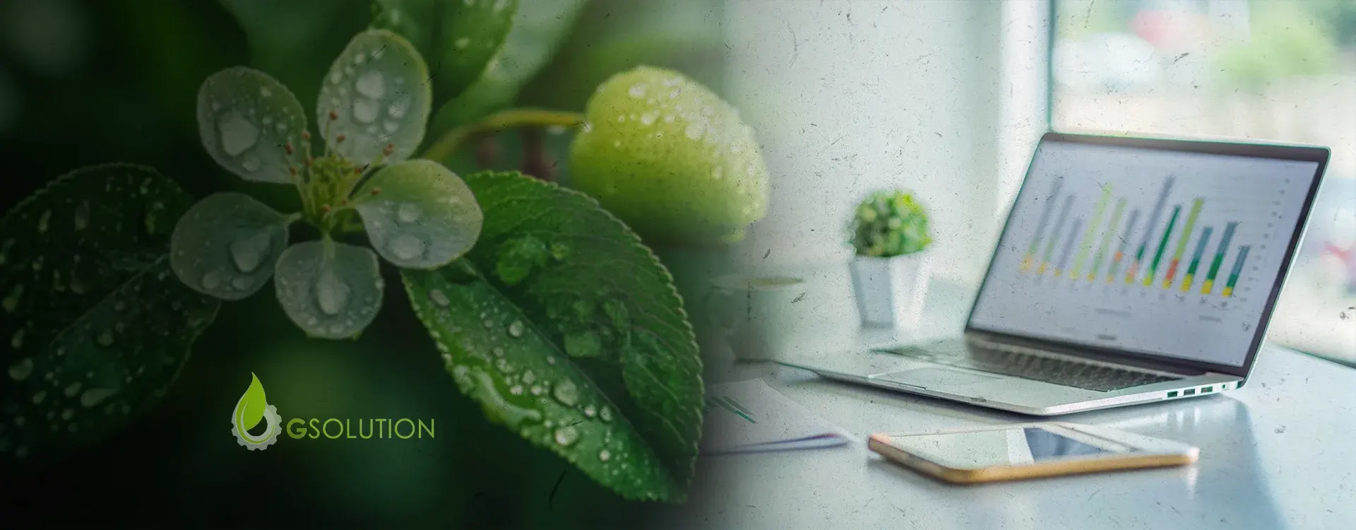 Documentação Ambiental