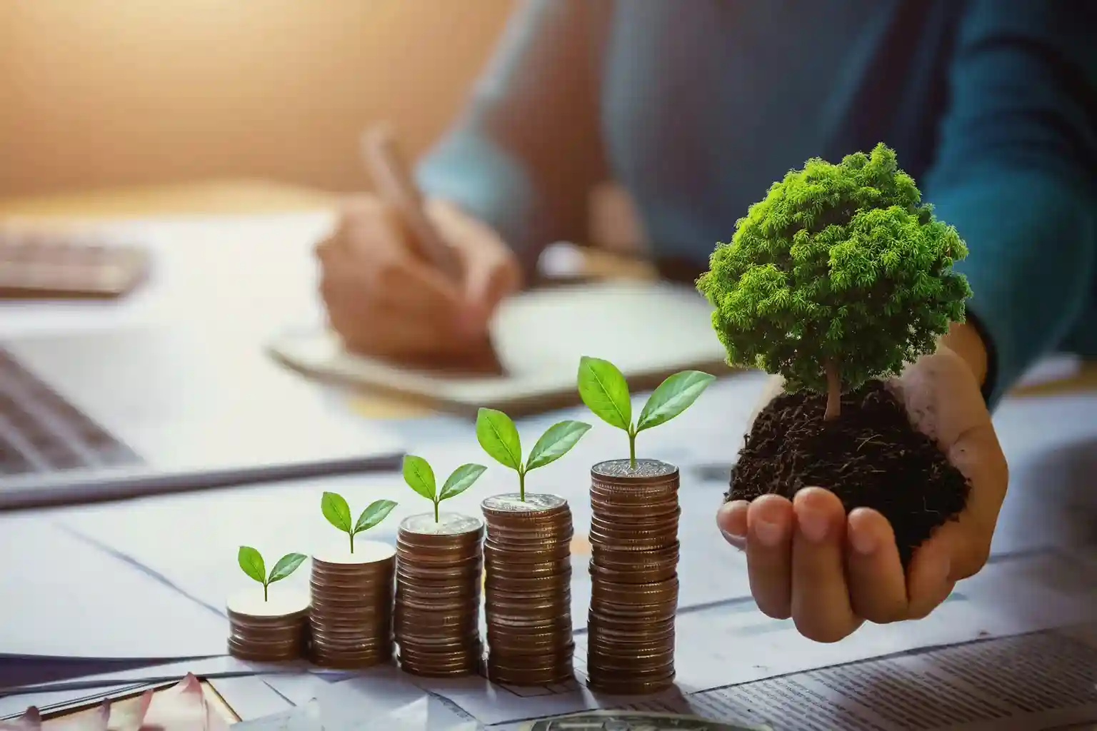 Assessoria Ambiental